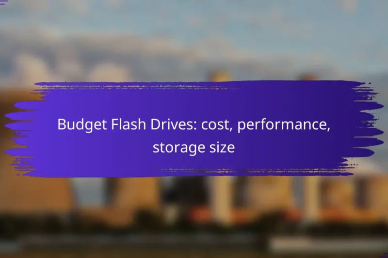 Budget Flash Drives: cost, performance, storage size