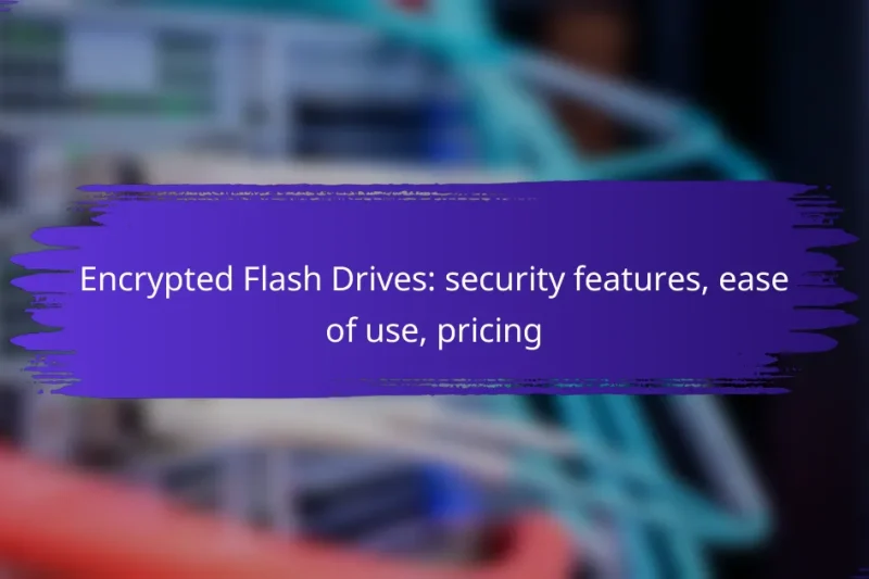 Encrypted Flash Drives: security features, ease of use, pricing