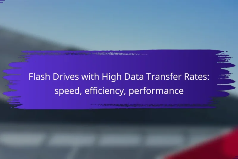 Flash Drives with High Data Transfer Rates: speed, efficiency, performance