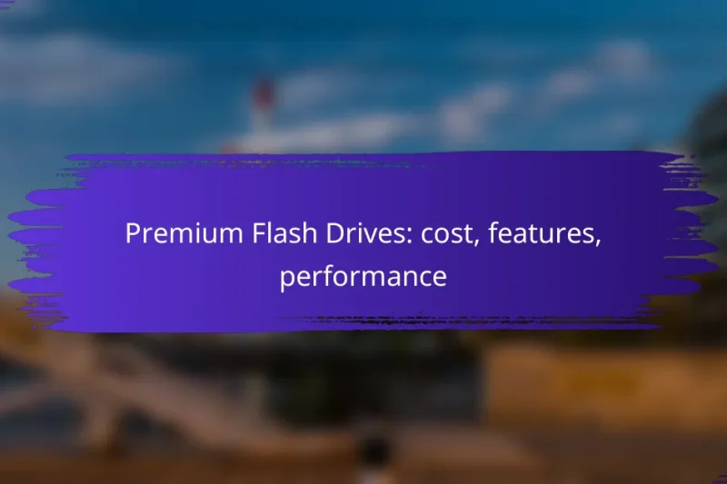 Premium Flash Drives: cost, features, performance