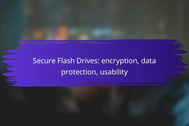 Secure Flash Drives: encryption, data protection, usability
