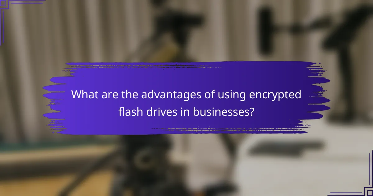 What are the advantages of using encrypted flash drives in businesses?