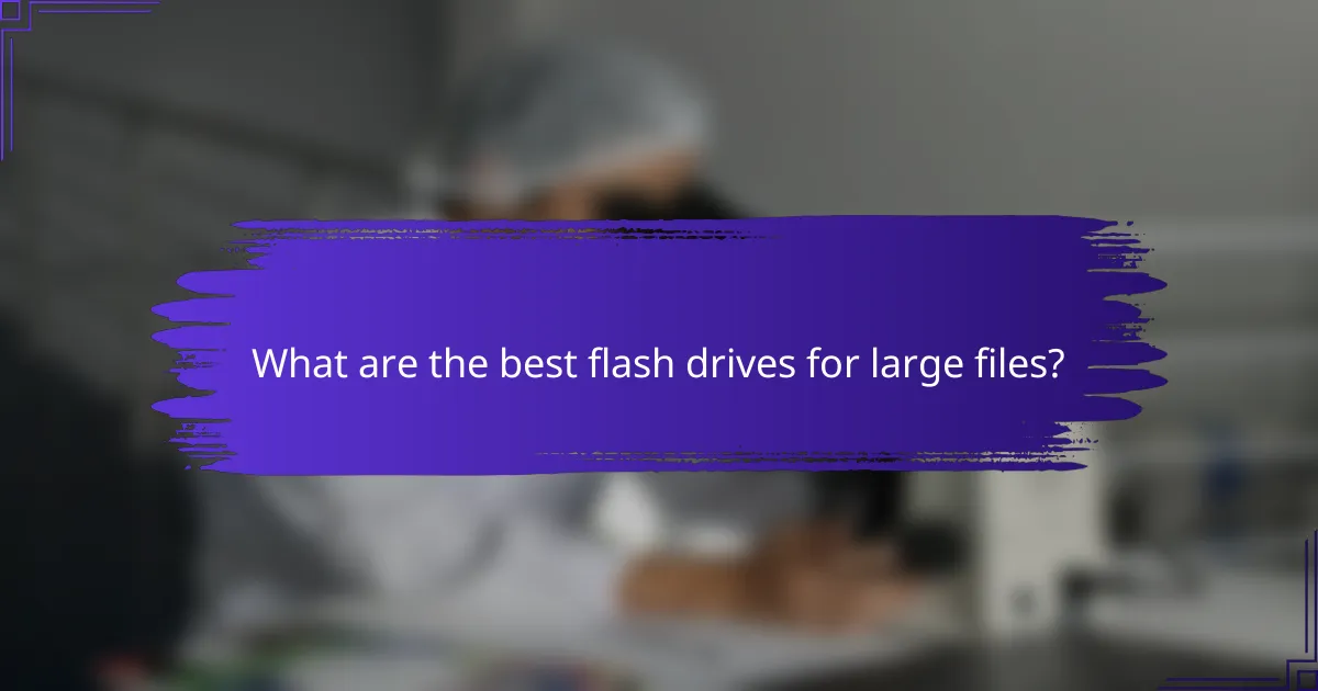 What are the best flash drives for large files?