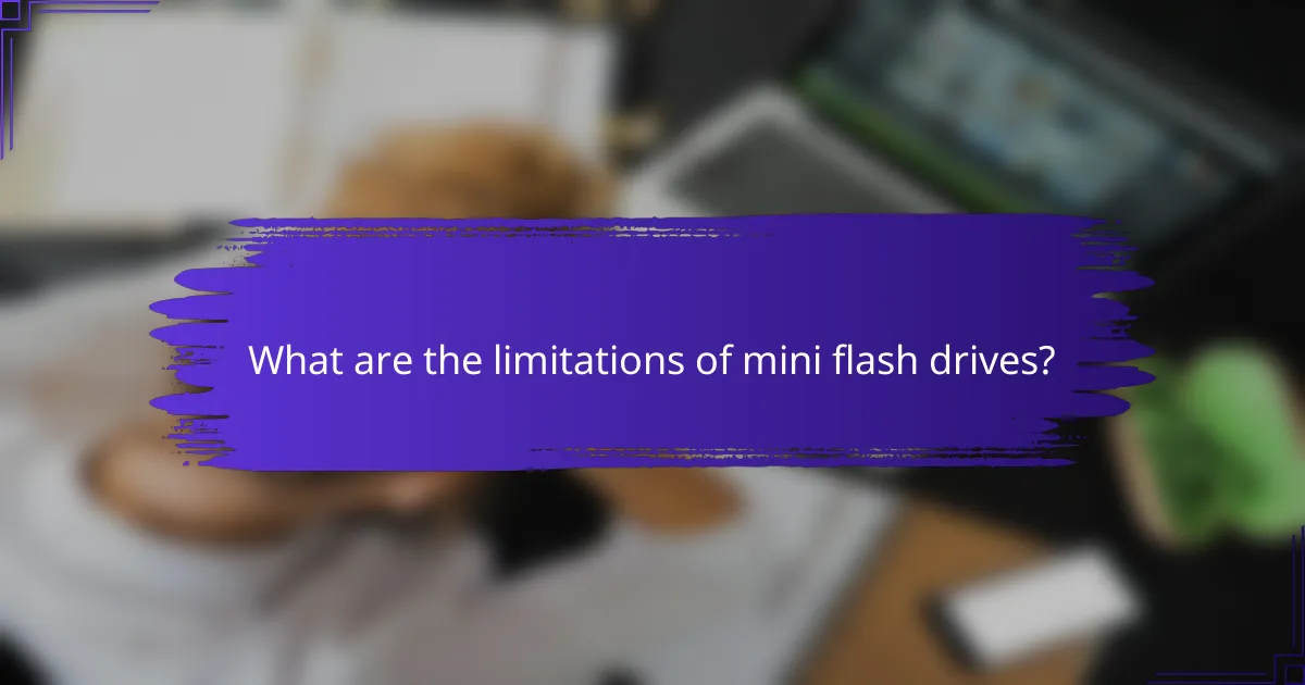 What are the limitations of mini flash drives?