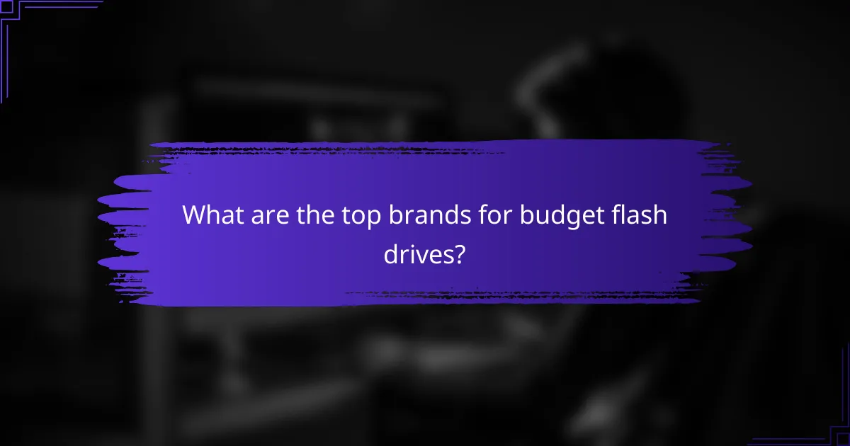What are the top brands for budget flash drives?