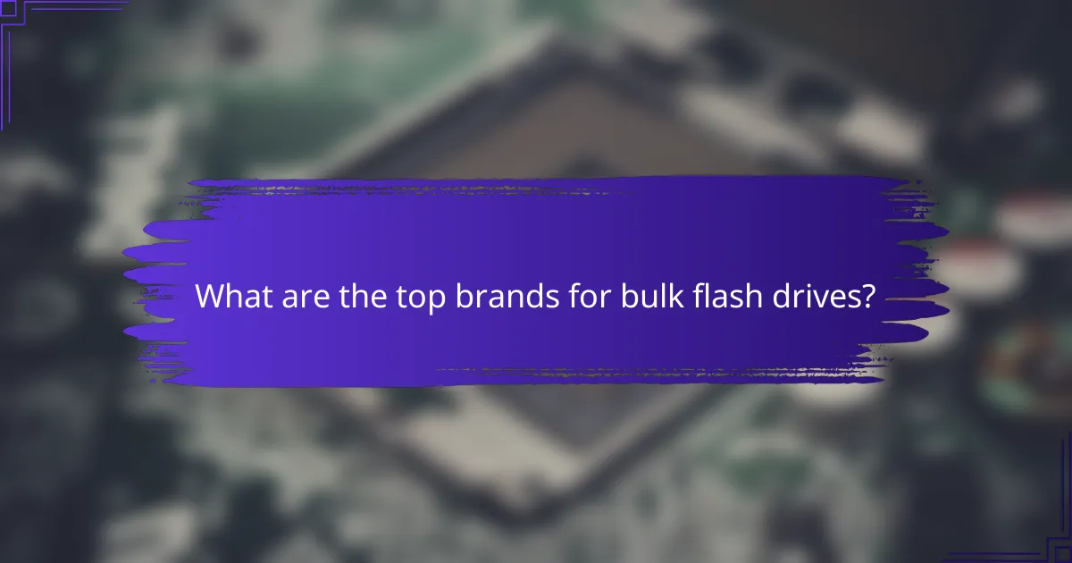 What are the top brands for bulk flash drives?