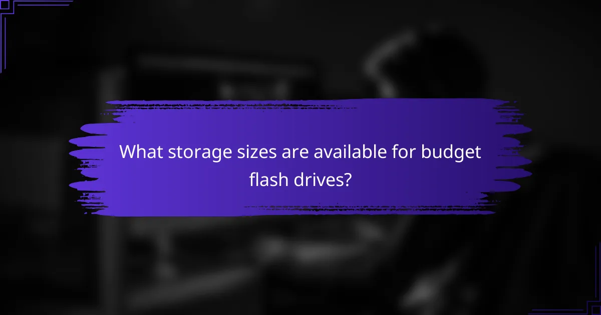 What storage sizes are available for budget flash drives?